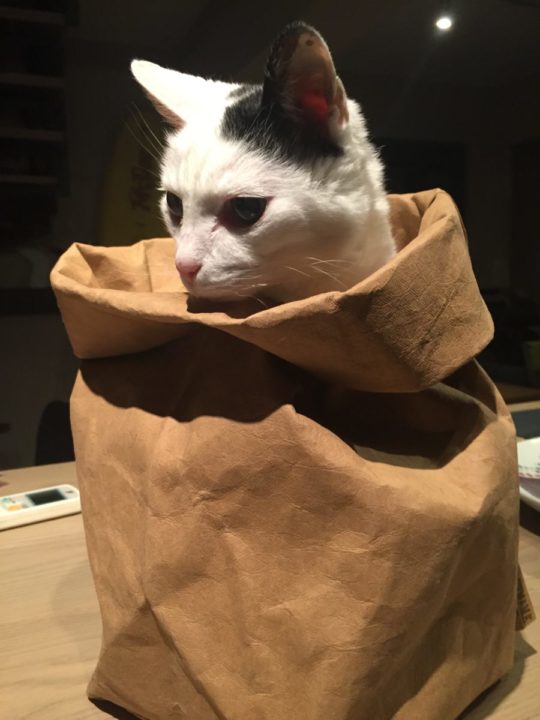 My sad news and why I'm sharing it